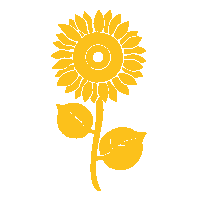 Sunflower - crushing grade