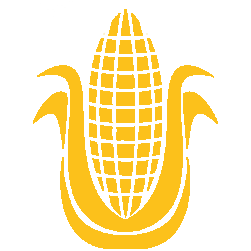 Corn (feed)